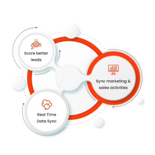 Bidirectional Flow Of Data With Marketo Zoho CRM Integration