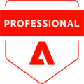 Adobe Professional Services