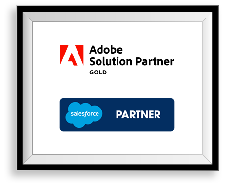 Salesforce partner